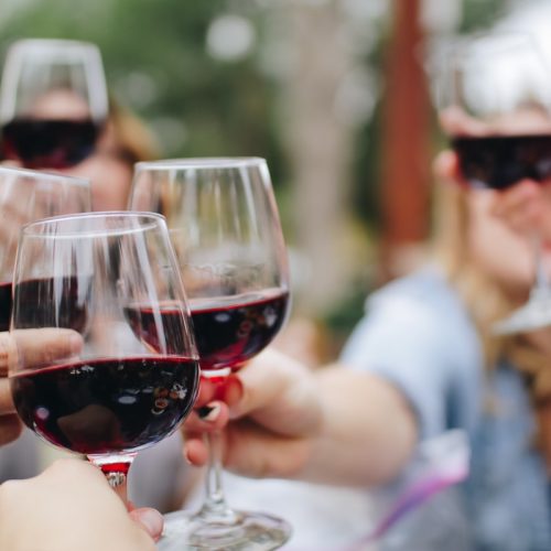 Copas de vino tinto brindando al aire libre, pack Borgoña Style