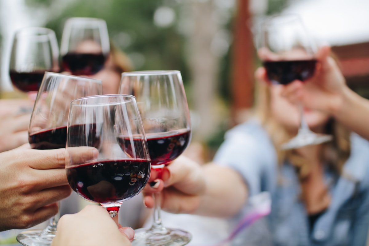 Copas de vino tinto brindando al aire libre, pack Borgoña Style
