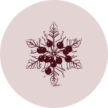 Icono anada fria